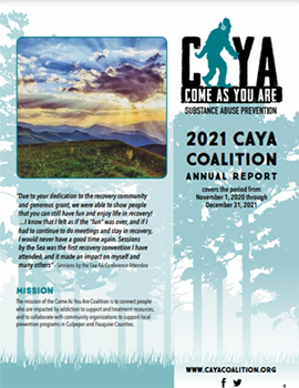 CAYA Annual Report 2021